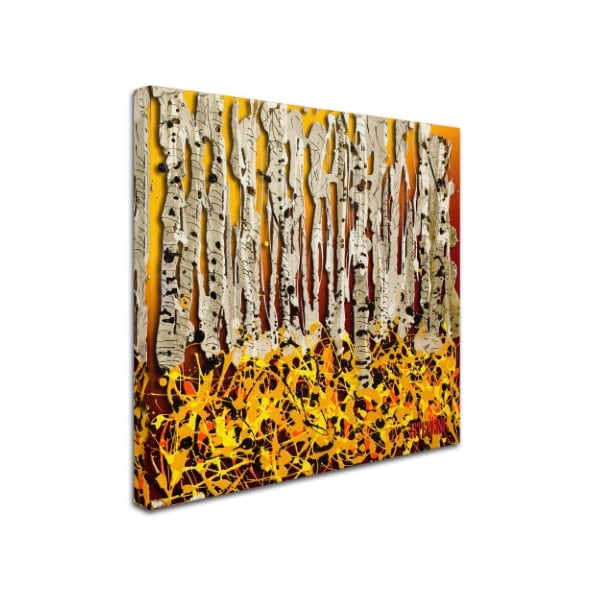 Roderick Stevens 'Silver Aspens' Canvas Art,24x24